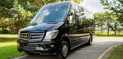 Standard Mercedes Sprinter 8rental mini bus fleet